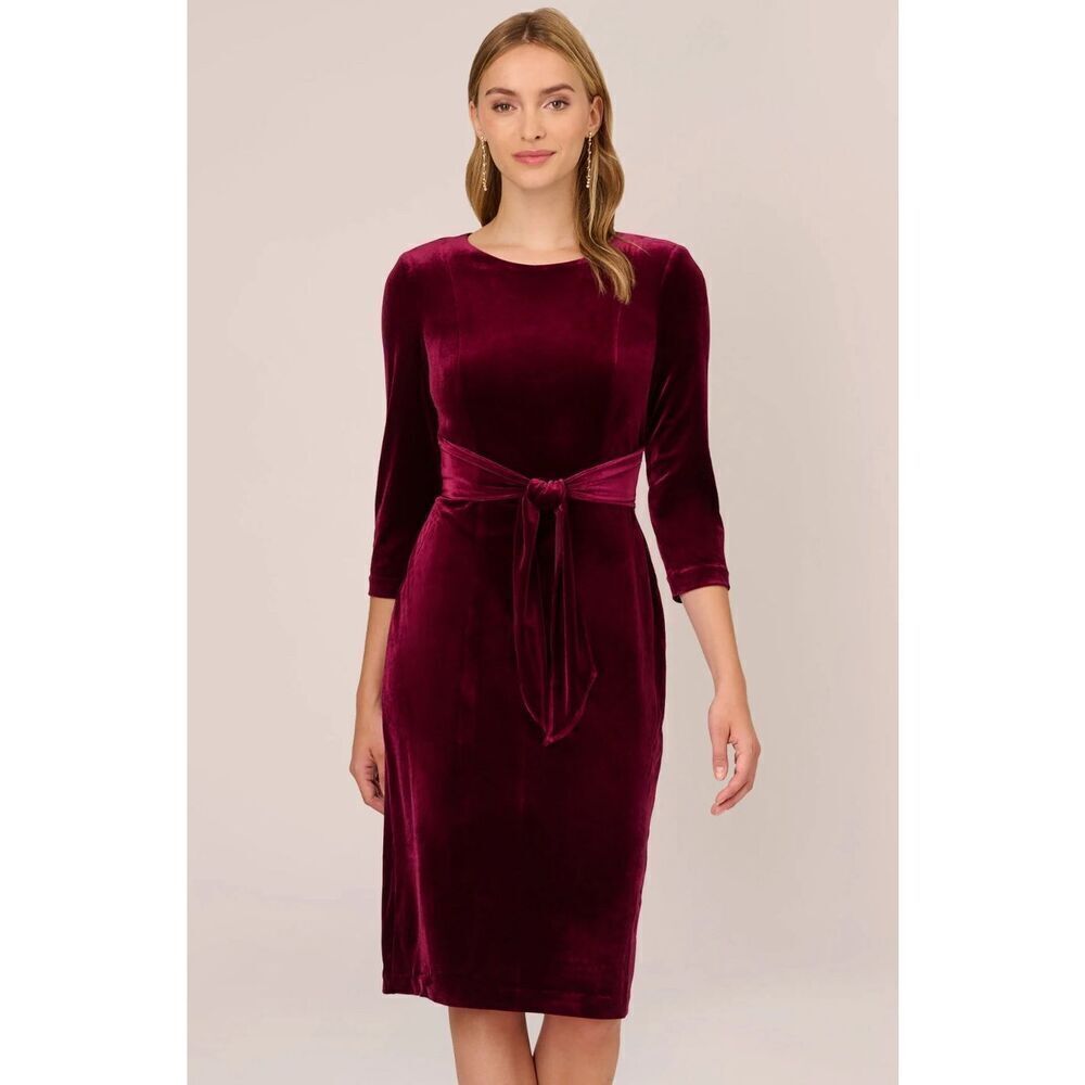 Adrianna Papell Burgundy Velvet Mini Dress